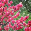 春暖花开的头像