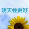 明天会更好(暂退)的头像