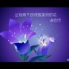 乐园优秀歌手扶云托月的头像