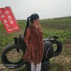 人生启示的头像