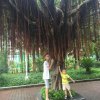 从【心】开始《近期太忙，暂离》的头像