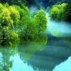 简单的头像