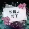 昙花现的头像