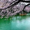 疯格的头像