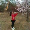 李霞的头像