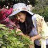 鹅娇的头像