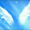 蓝天隐形的翅膀的头像