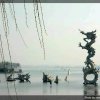 风铃追逐梦想的头像