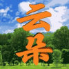 云 朵的头像