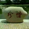 盛早香的头像