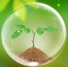 变量的头像
