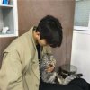猫的头像