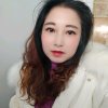 碟恋花的头像
