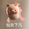 DA壮壮的头像