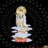 阿帅d(ŐдŐ๑)的头像