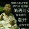 小傻哥的头像