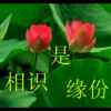 雨霞的头像