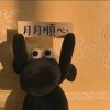 CC羊羊羊的头像