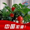 凡芹的头像
