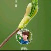 和谐豆豆的头像
