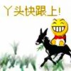 橙橙的头像