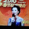 时间都去哪了的头像