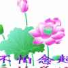 德玉的头像