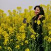 燕儿飞的头像