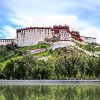 Mr.zhao的头像