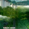 梅子姐的头像