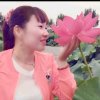 《知足者》常乐的头像