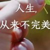 爱歌人的头像