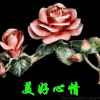 龙聚缘凤蓝雨的头像