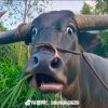 阿傑工业水泵的头像