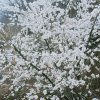 ༊悠蓝点点的头像