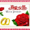 永恒的心的头像
