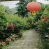 缘的头像