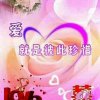 暖雪的头像