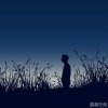 奔狼的头像