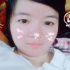 燕子归来的头像