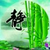 天天快乐的头像