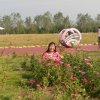 银杏花的头像
