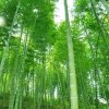 我的眼里只有你的头像