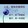 帆（退）的头像
