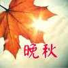晚秋的头像