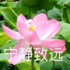 清临的头像
