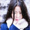 傲雪寒梅的头像