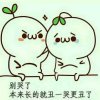 踏雪寻梅的头像