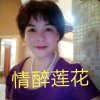 情醉莲花的头像