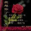 人生如梦的头像